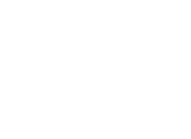 Logo footer web
